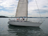 comet 333