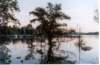 lago_alto4_small.jpg