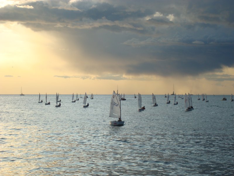 dsc00736.jpg