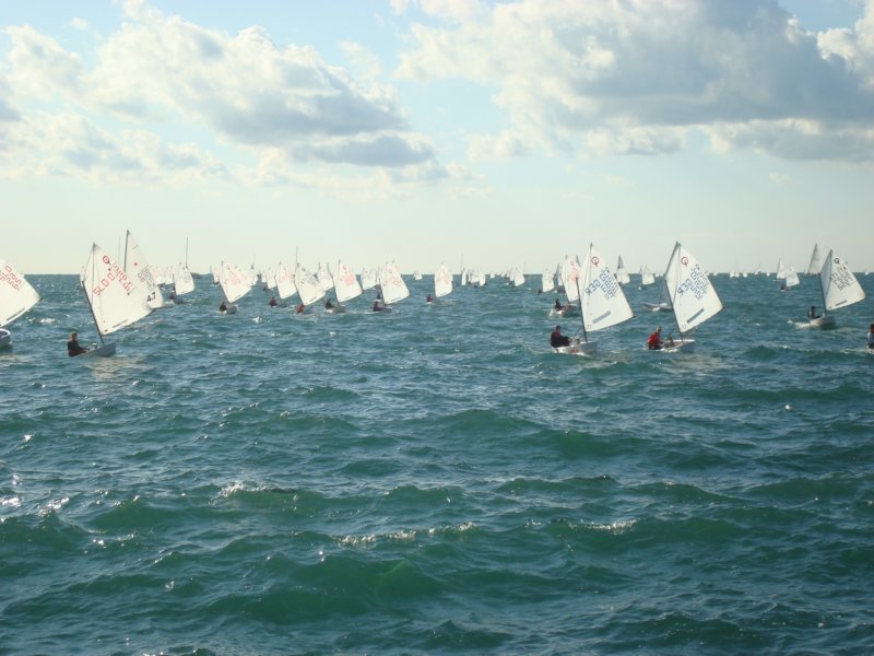 dsc00795.jpg