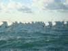 dsc00795_small.jpg