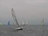immagine_152_small.jpg