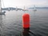immagine063_small.jpg
