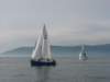 immagine065_small.jpg