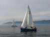 immagine070_small.jpg