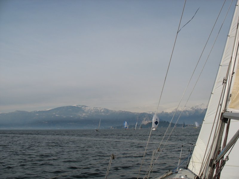 immagine127.jpg