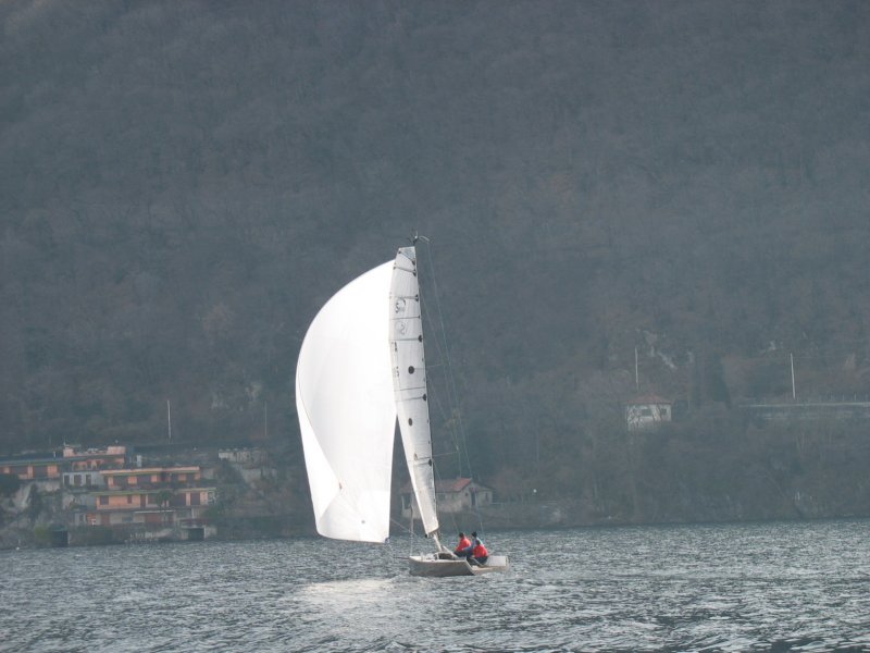 immagine129.jpg