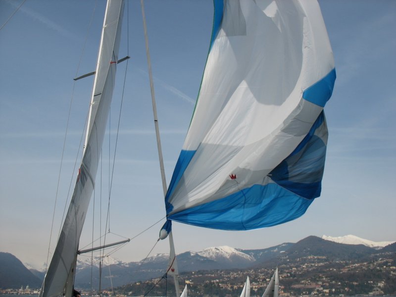 immagine131.jpg