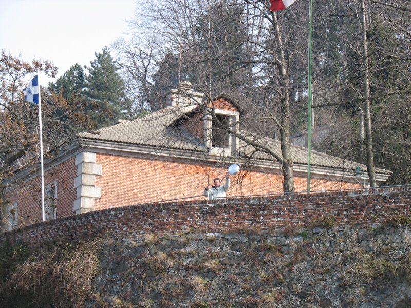 immagine137.jpg