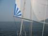 immagine159_small.jpg