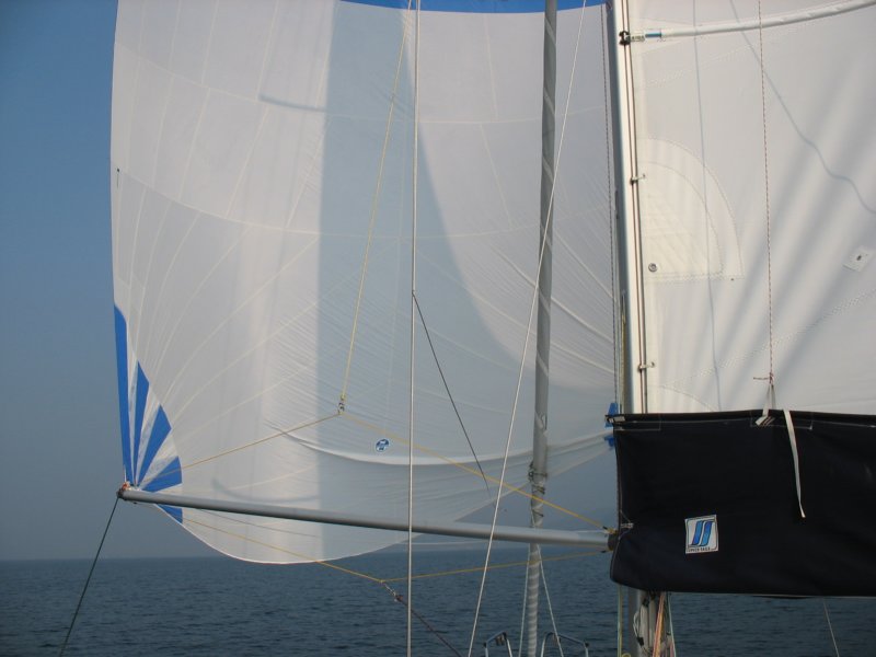 immagine169.jpg