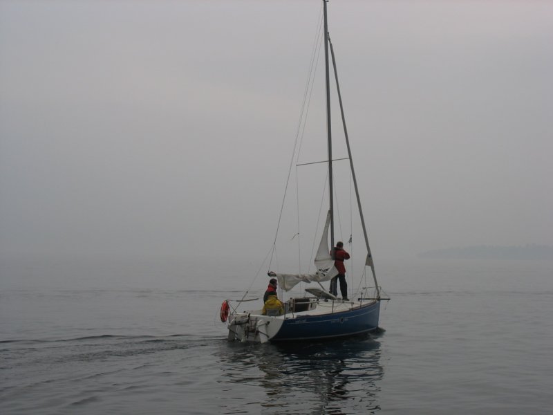 immagine228.jpg