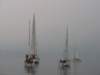 immagine233_small.jpg