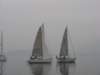 immagine234_small.jpg