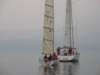 immagine235_small.jpg