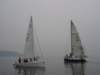 immagine238_small.jpg