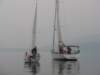 immagine241_small.jpg