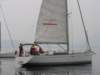 immagine245_small.jpg