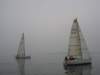 immagine247_small.jpg