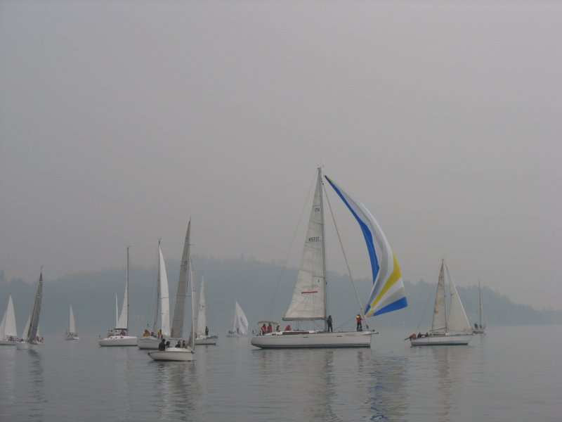 immagine248.jpg
