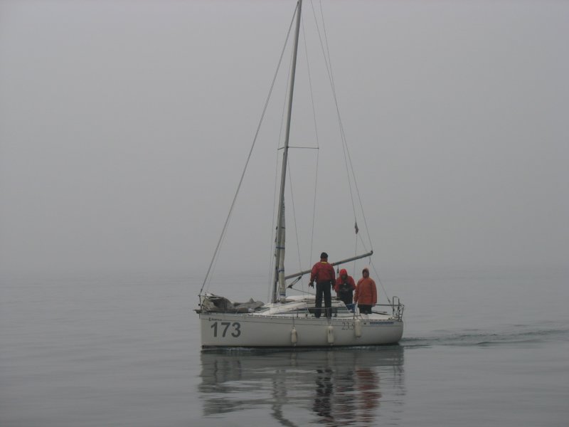 immagine256.jpg