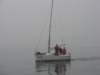immagine256_small.jpg