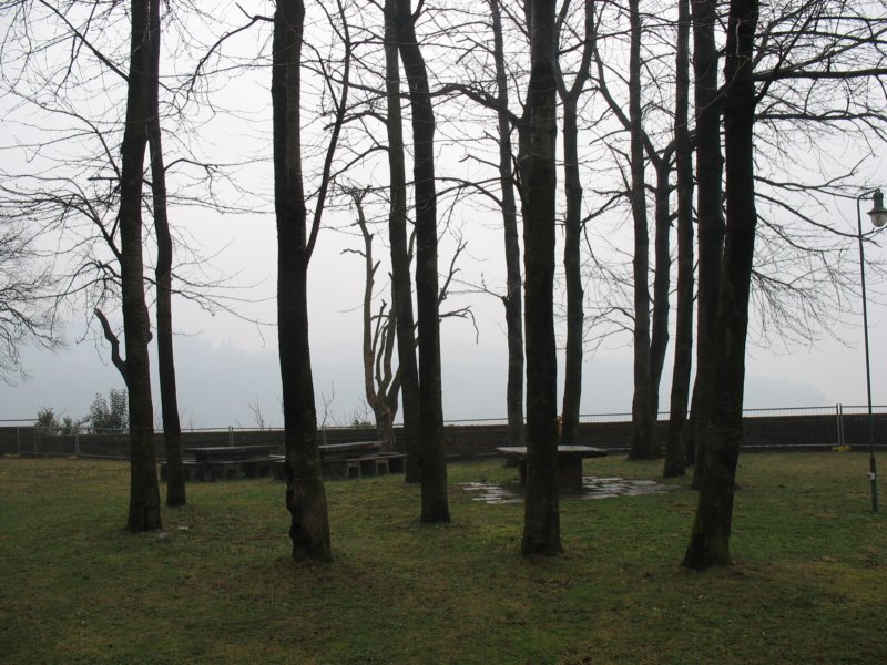 immagine269.jpg