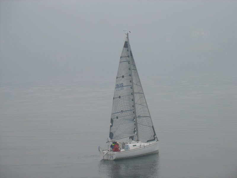 immagine271.jpg