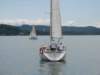 immagine097_small.jpg