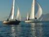 dscf0916_small.jpg