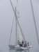 dscf1074_small.jpg
