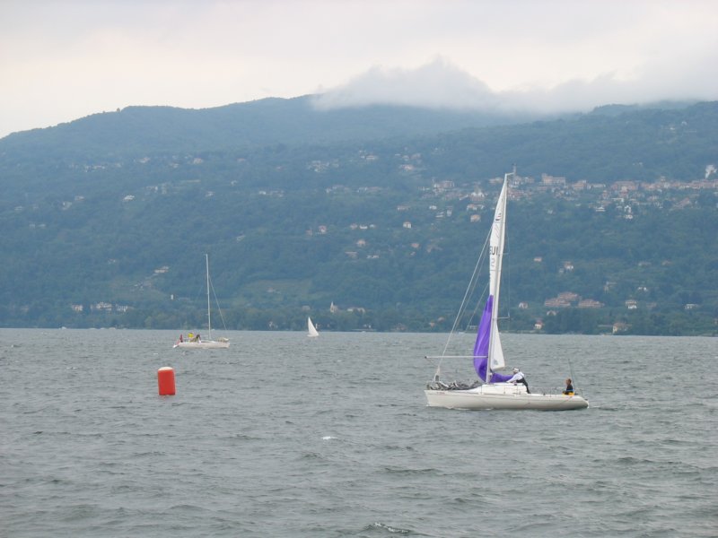 immagine258.jpg