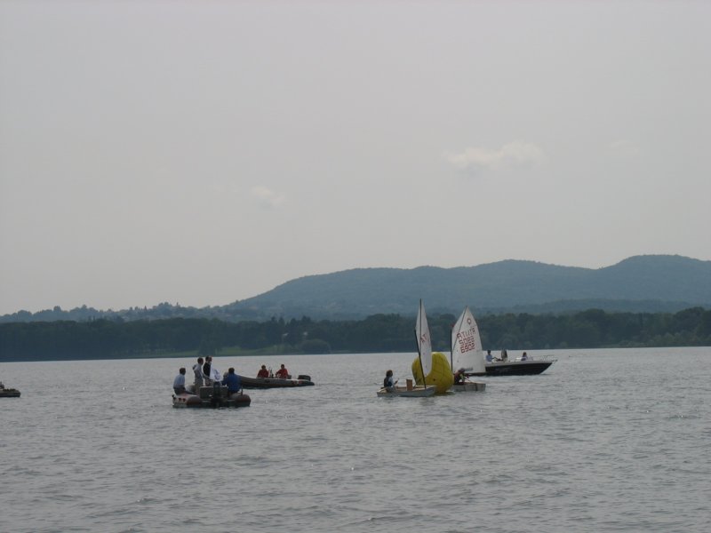 immagine099.jpg