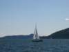 immagine009_small.jpg