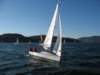 immagine090_small.jpg