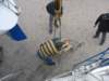 immagine095_small.jpg