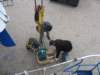 immagine098_small.jpg