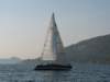 immagine083_small.jpg