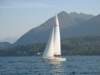 immagine086_small.jpg