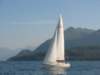immagine088_small.jpg