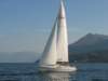 immagine089_small.jpg