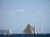 imperia079_small.jpg