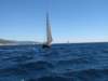imperia2019_small.jpg