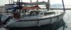 phoca_thumb_l_campernicholsonmurata_small.jpg