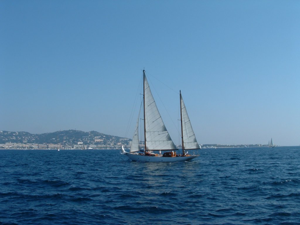 swalacannes2009006.jpg