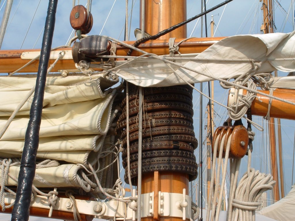 swalacannes2009057.jpg