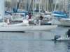 swalacannes2009089_small.jpg