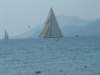 swalacannes2009117_small.jpg