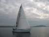 immagine121_small.jpg