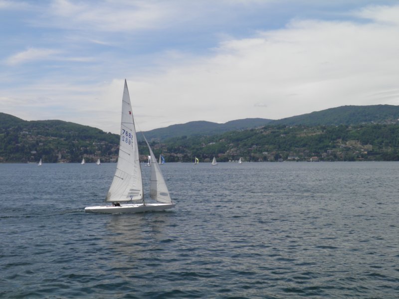 p5230158.jpg